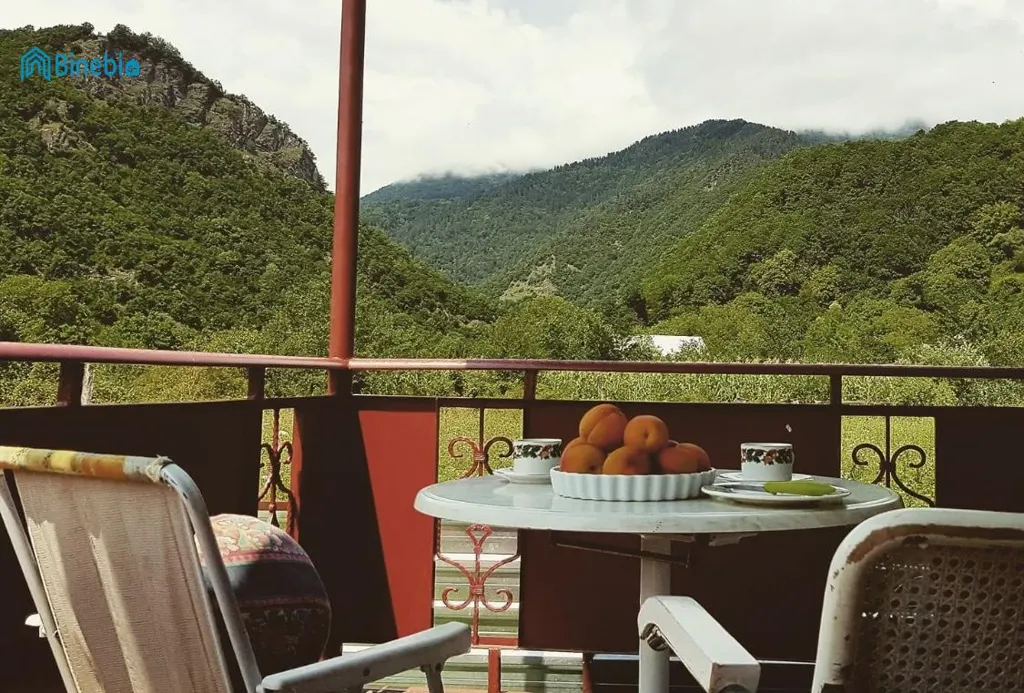 ქირავდება დღიურად 0 მ² სახლი / აგარაკი