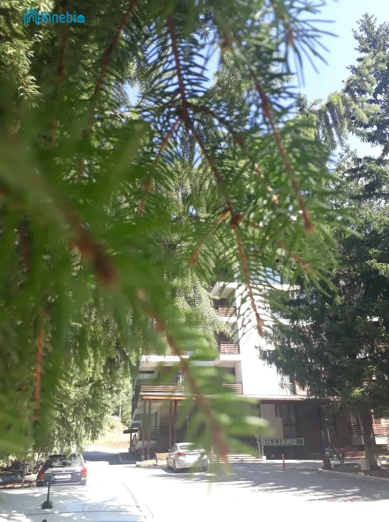 ქირავდება დღიურად 1 ოთახიანი ბინა