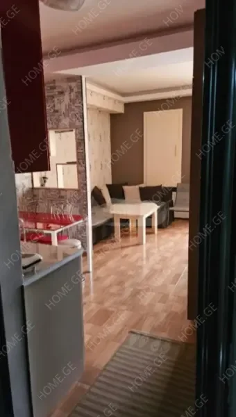 ქირავდება ბინა დღიურად, 1 ოთახიანი, ახალი აშენებული, ბორჯომი, ბაკურიანი
