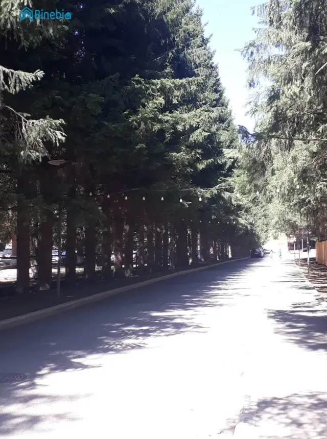 ქირავდება დღიურად 1 ოთახიანი ბინა
