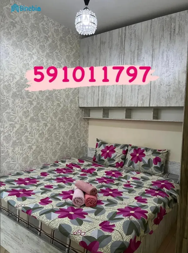 ქირავდება დღიურად 2 ოთახიანი ბინა
