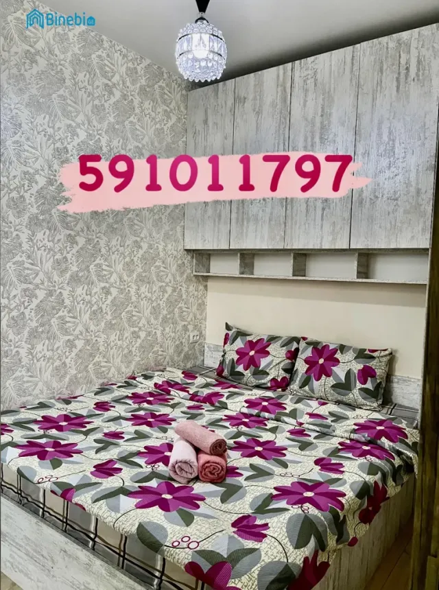 ქირავდება დღიურად 2 ოთახიანი ბინა