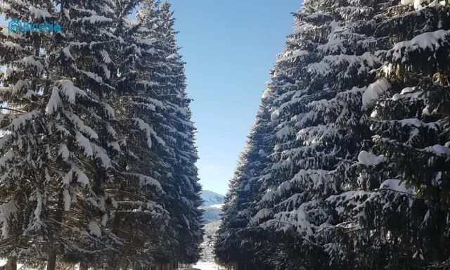 ქირავდება 2 ოთახიანი ბინა