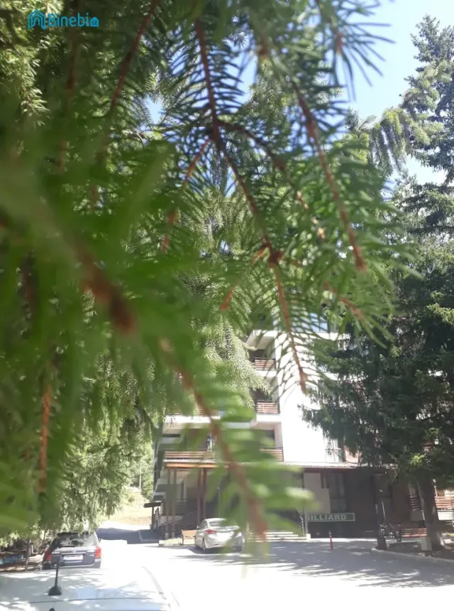 ქირავდება დღიურად 1 ოთახიანი ბინა